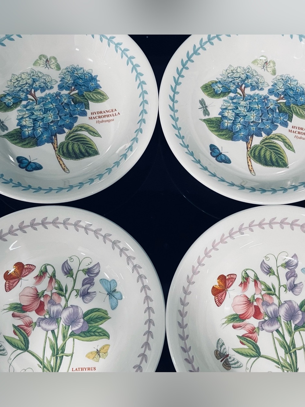 Portmeirion Botanic Garden NEW Meadow 7” Bowls Made England, Set of 4